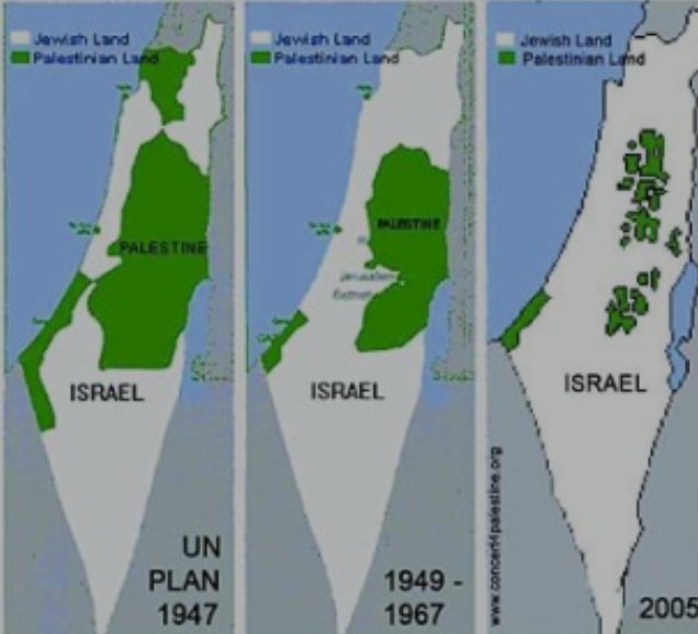 don don wings tweet media