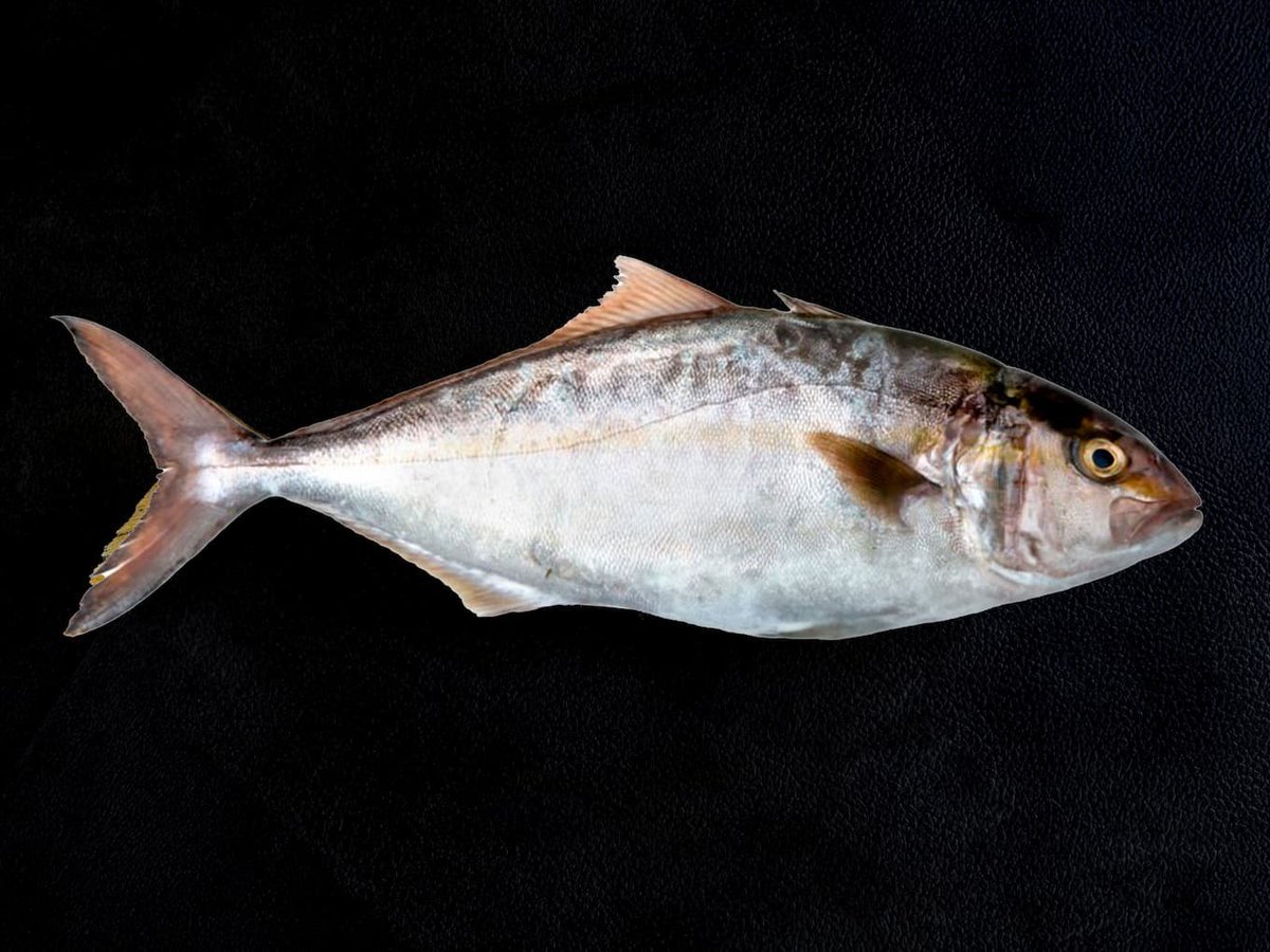 CitiZëN tweet media