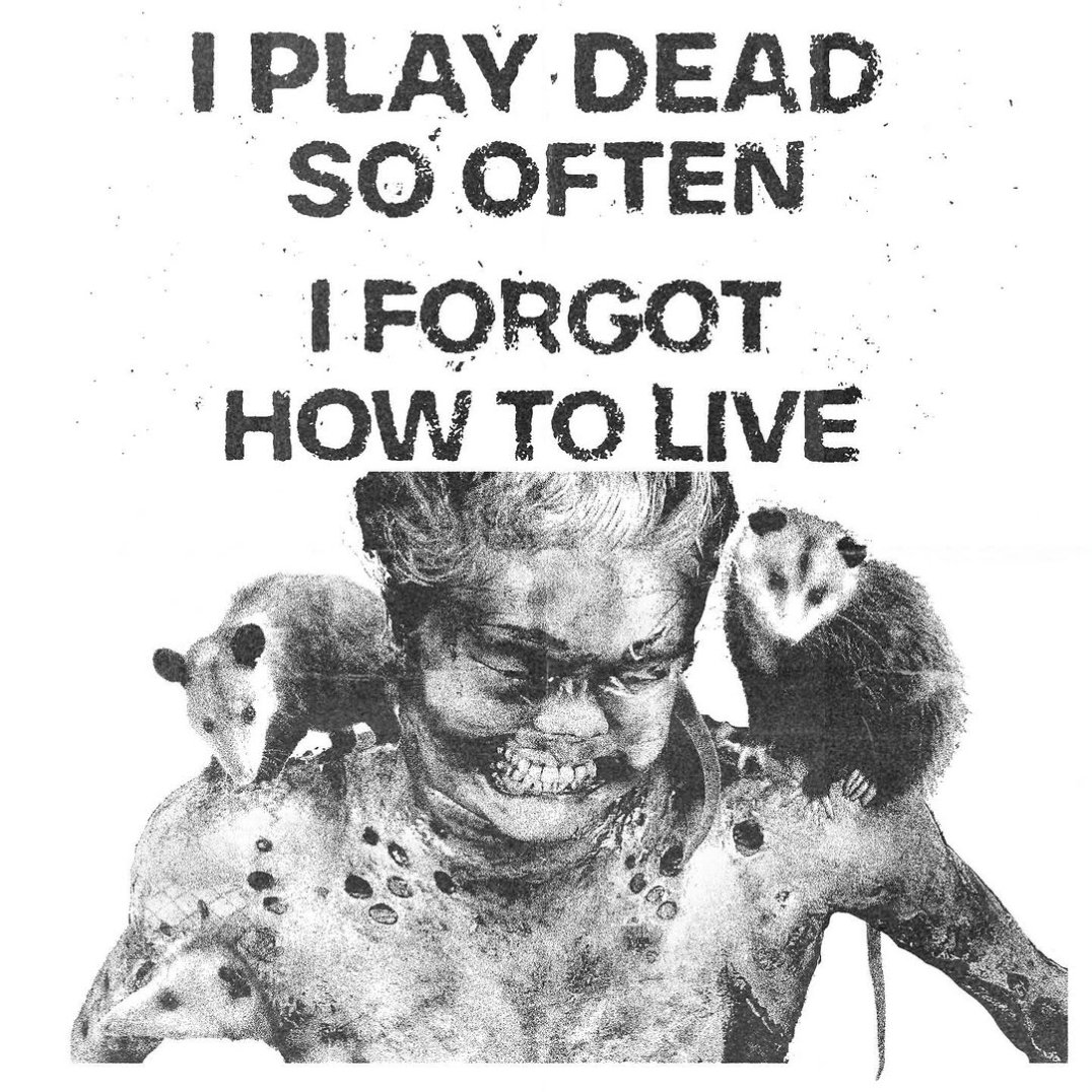 ꜱᴀᴅɪꜱᴛ ʙᴀɪᴛ MDNI tweet media