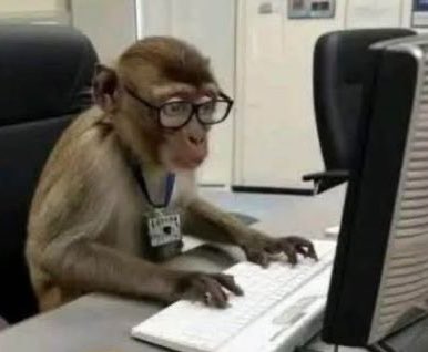 عسل أبو نايف tweet media