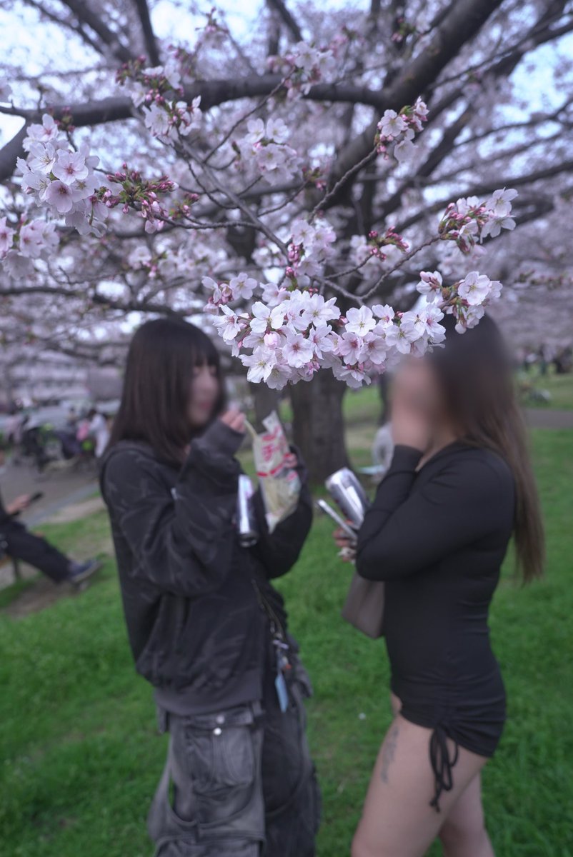 (_ _).｡o○ tweet media