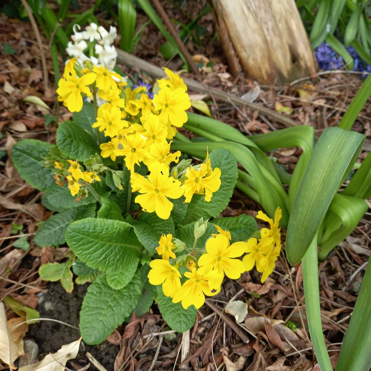 BM Malone tweet media