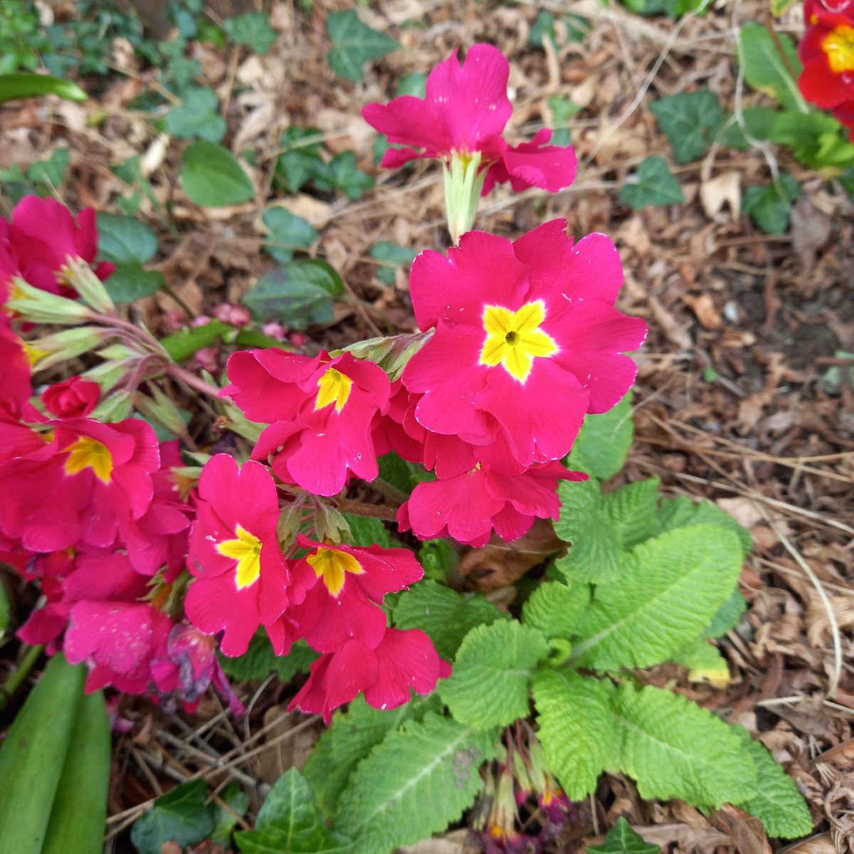 BM Malone tweet media