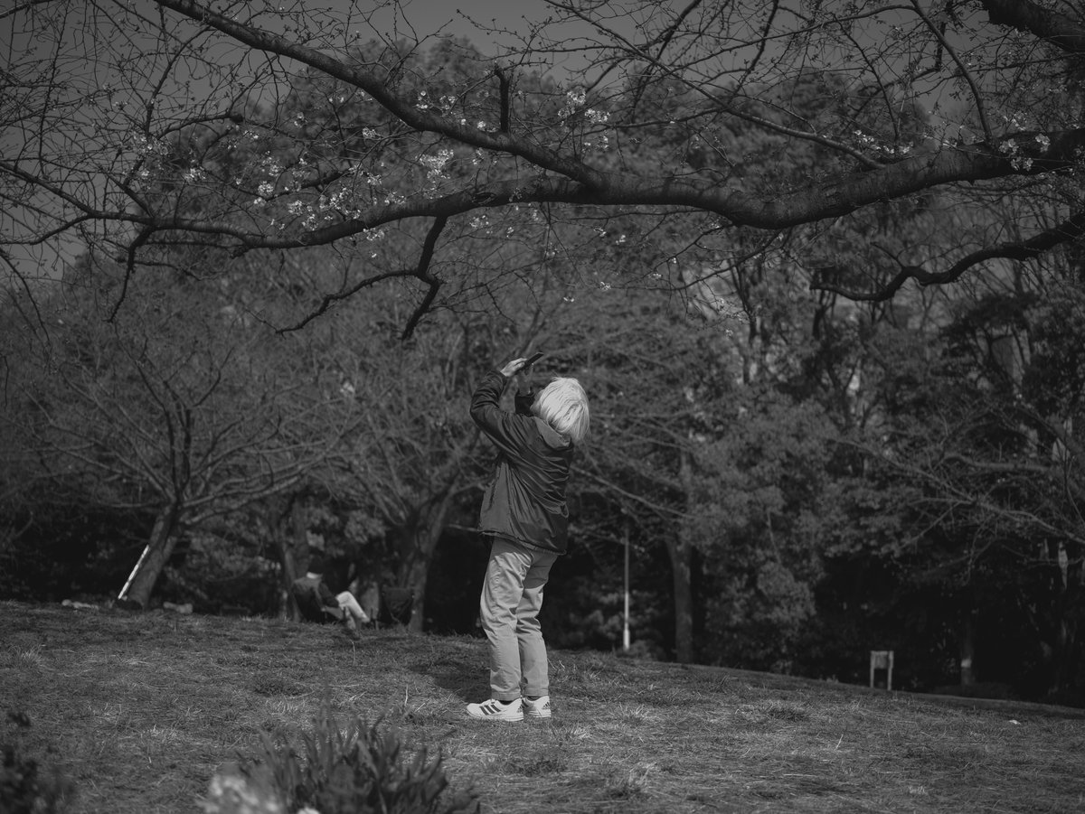 candy1962 tweet media