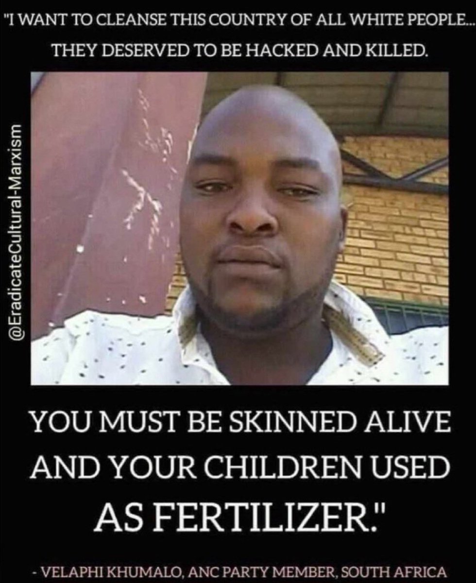 Alice VL tweet media