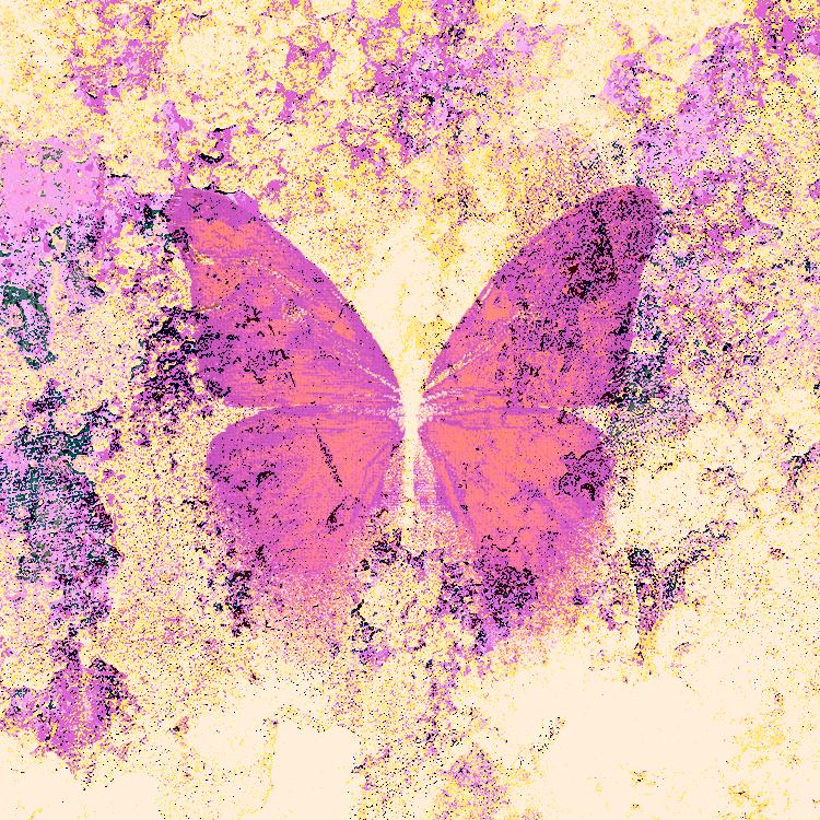 NINFA BOT tweet media