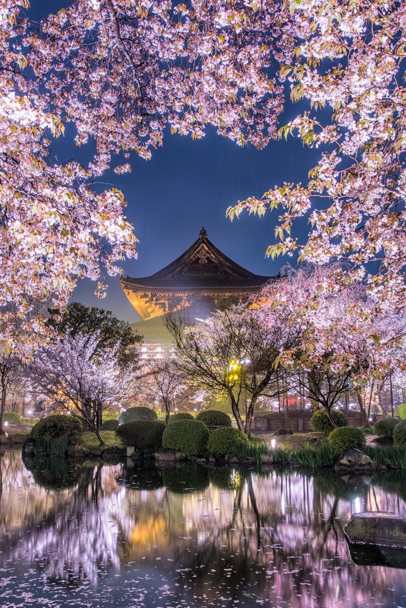 別所隆弘 Takahiro Bessho tweet media