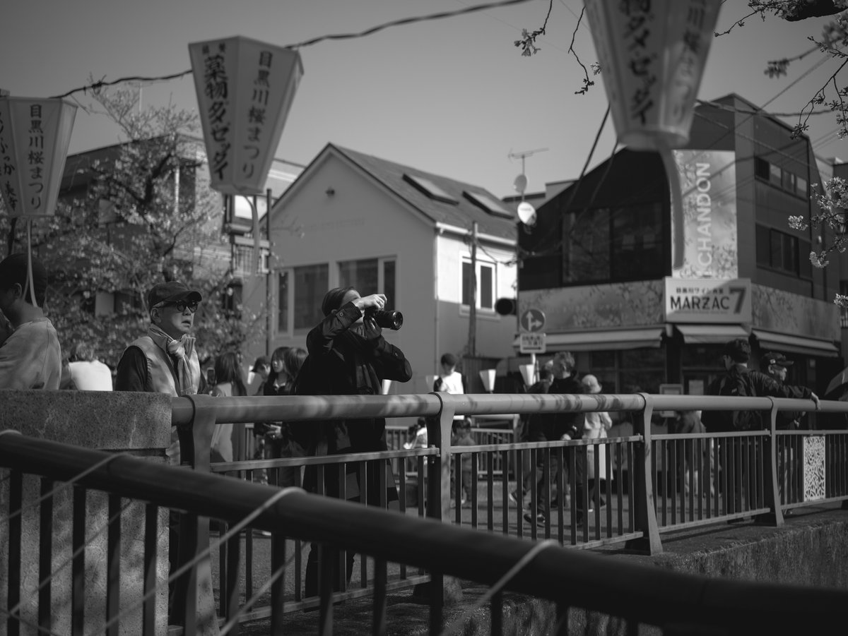 candy1962 tweet media