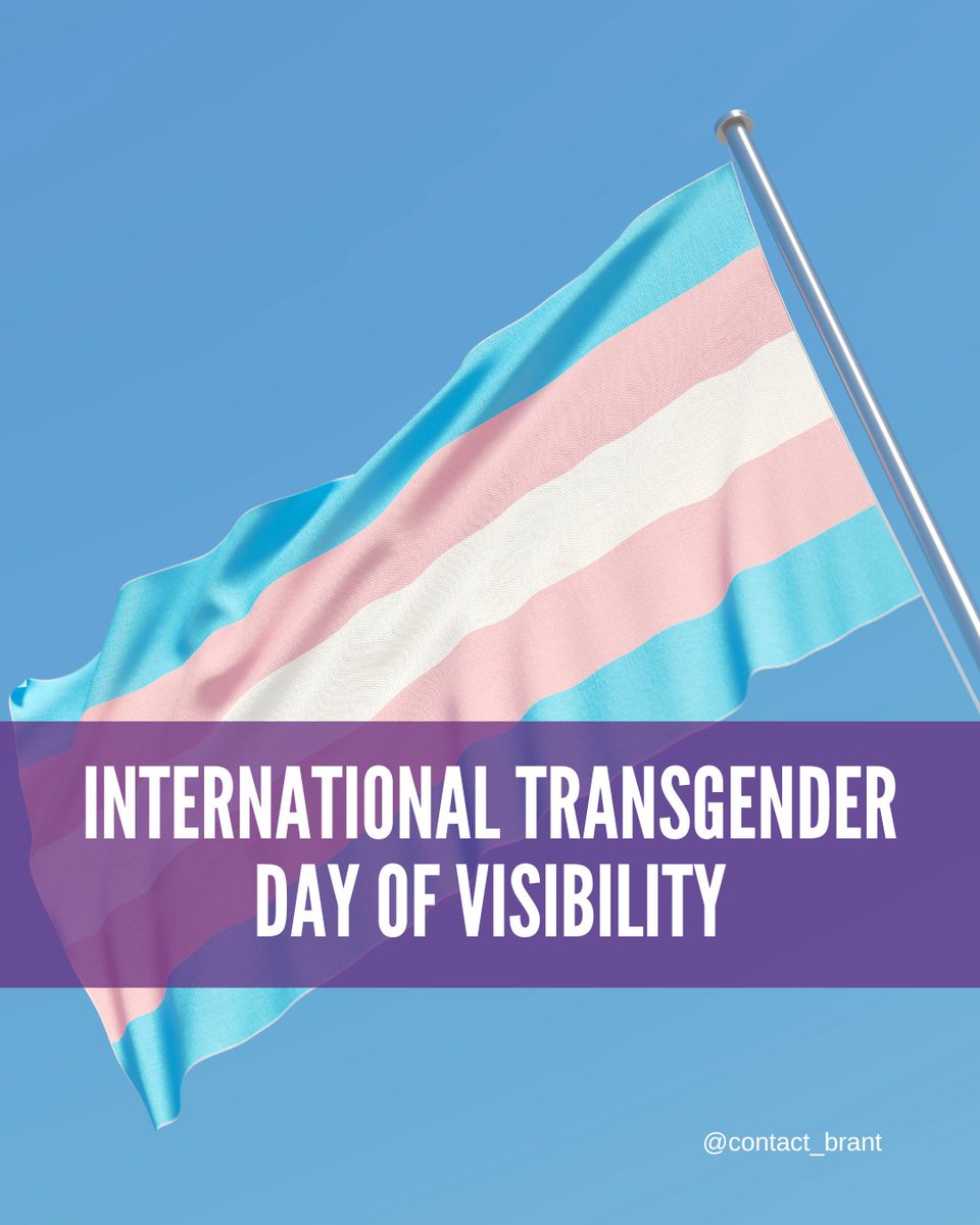 Contact Brant 🔎 tweet media