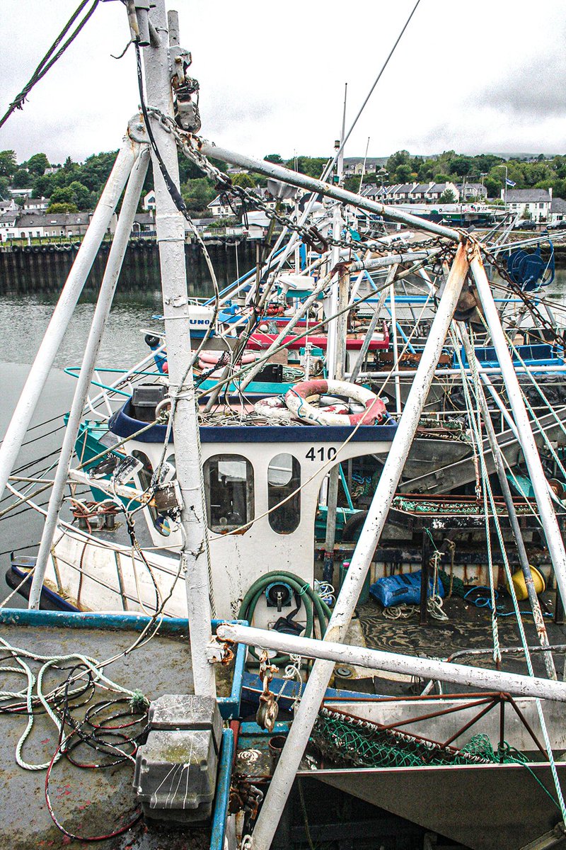 Mark Mc Carthy tweet media