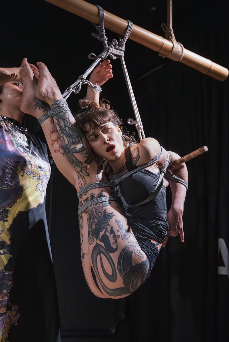 Mosaic cat_maomao tweet media