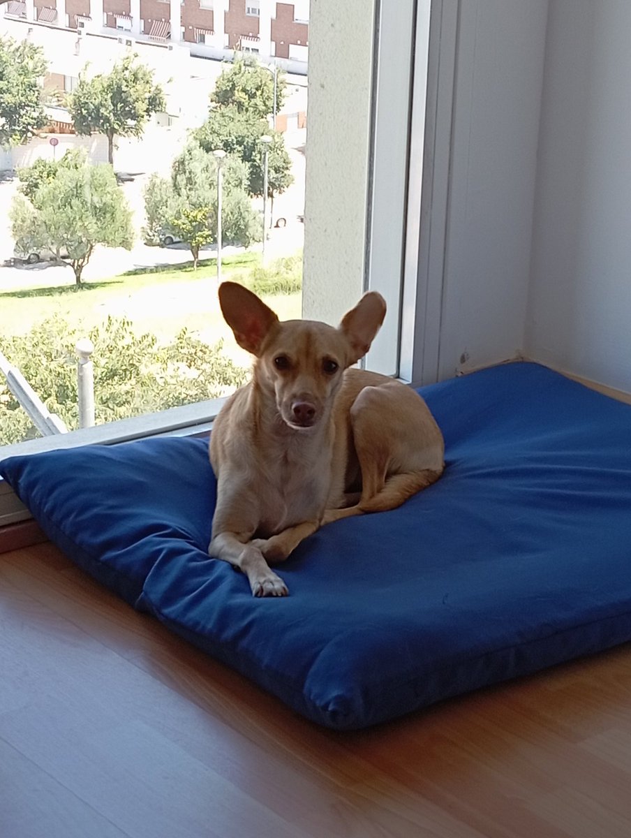 Hardvanzo tweet media