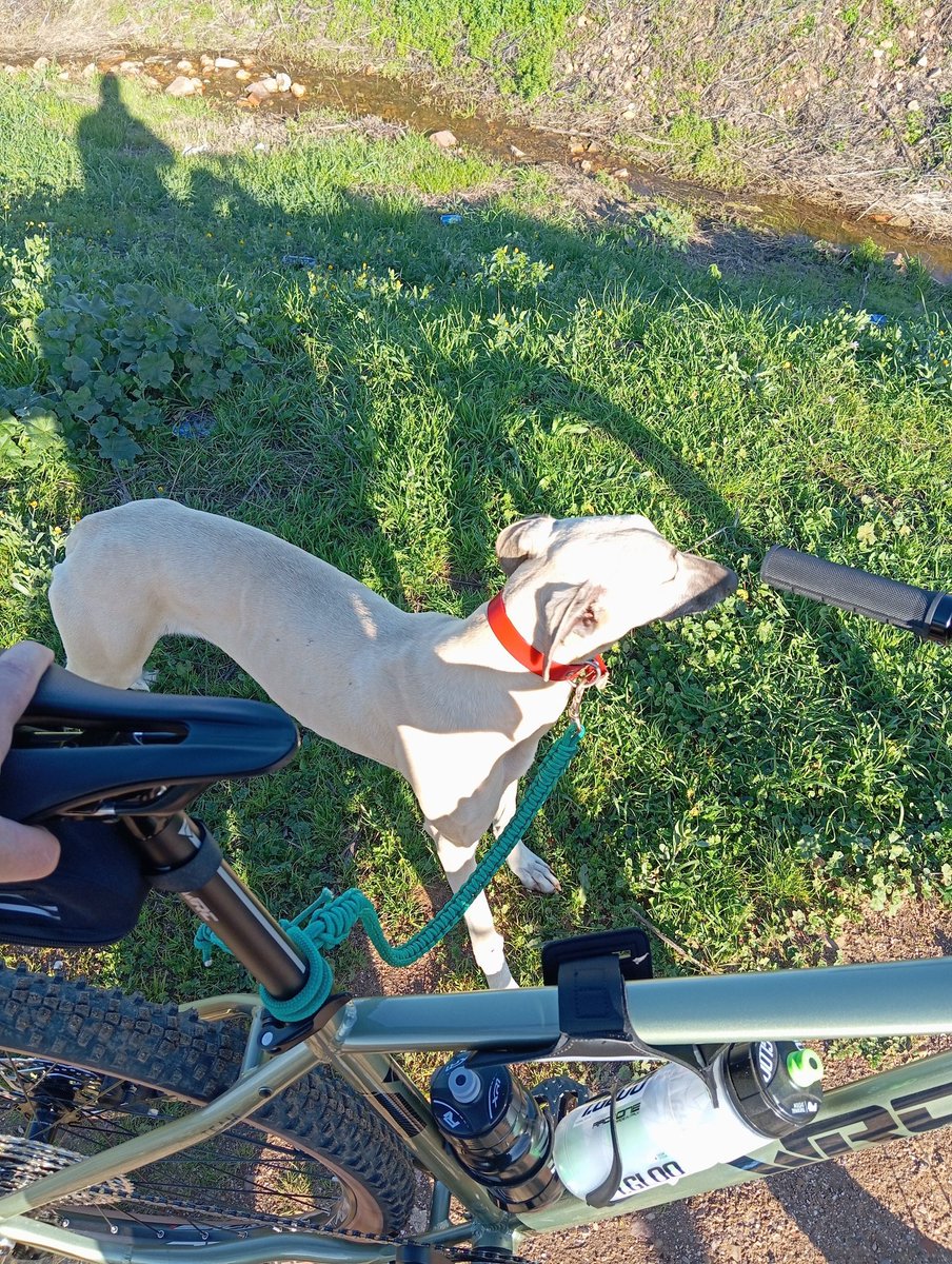 Hardvanzo tweet media