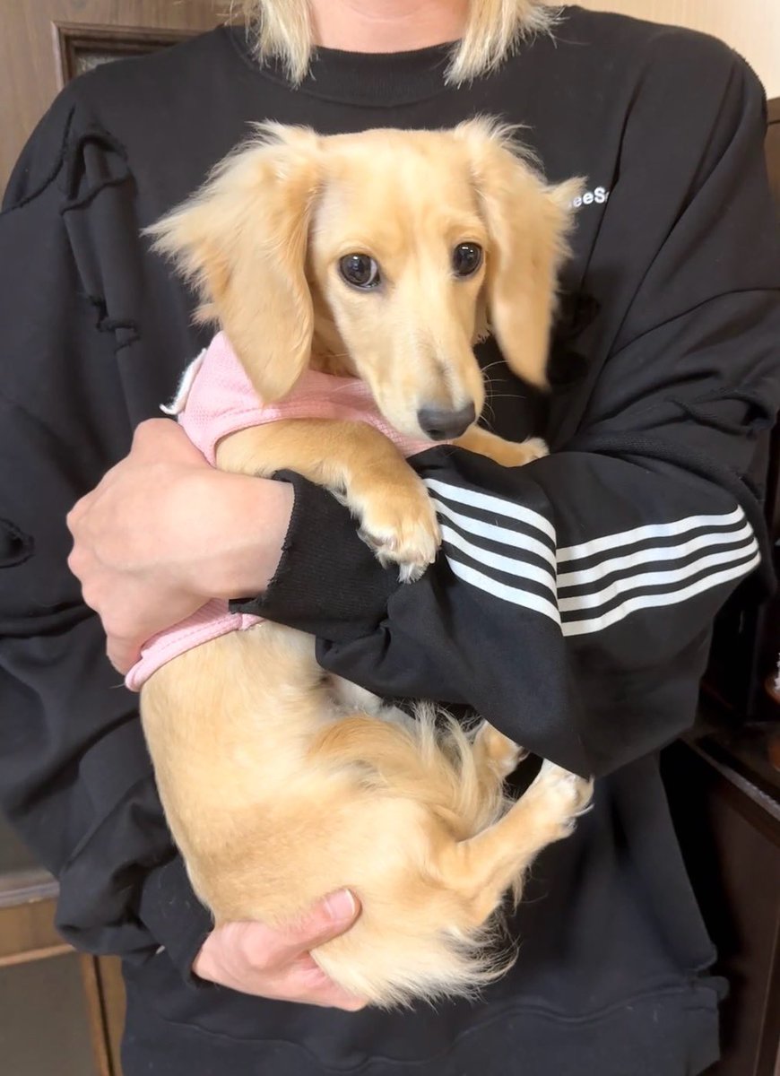 SLHのRYO✡️ tweet media