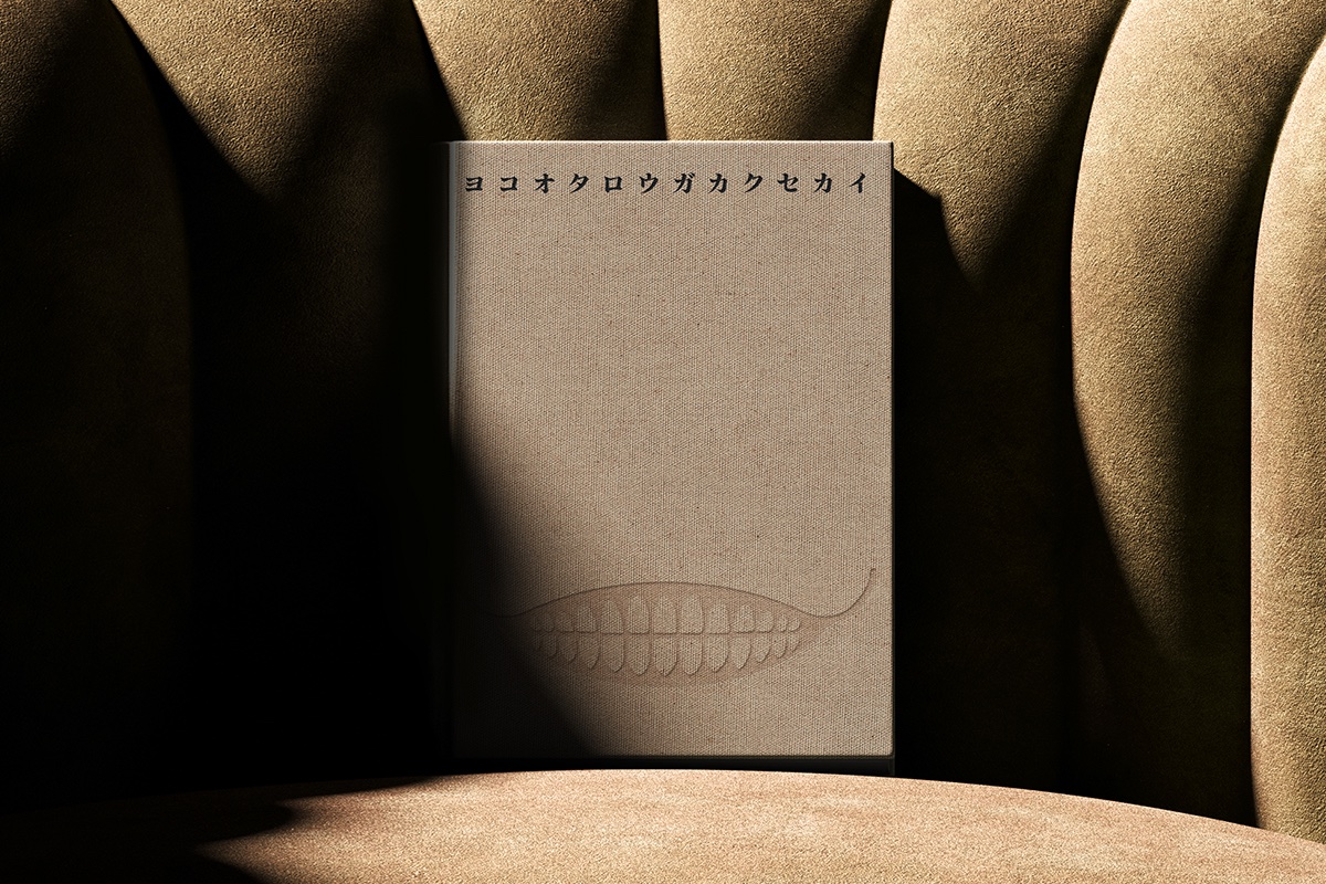 Archipel | アルシペル tweet media