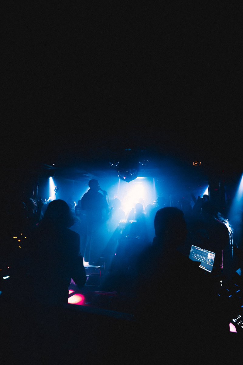 Elephant Kind tweet media