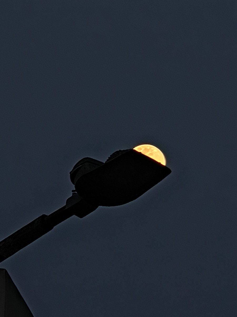 Sai Krishna tweet media