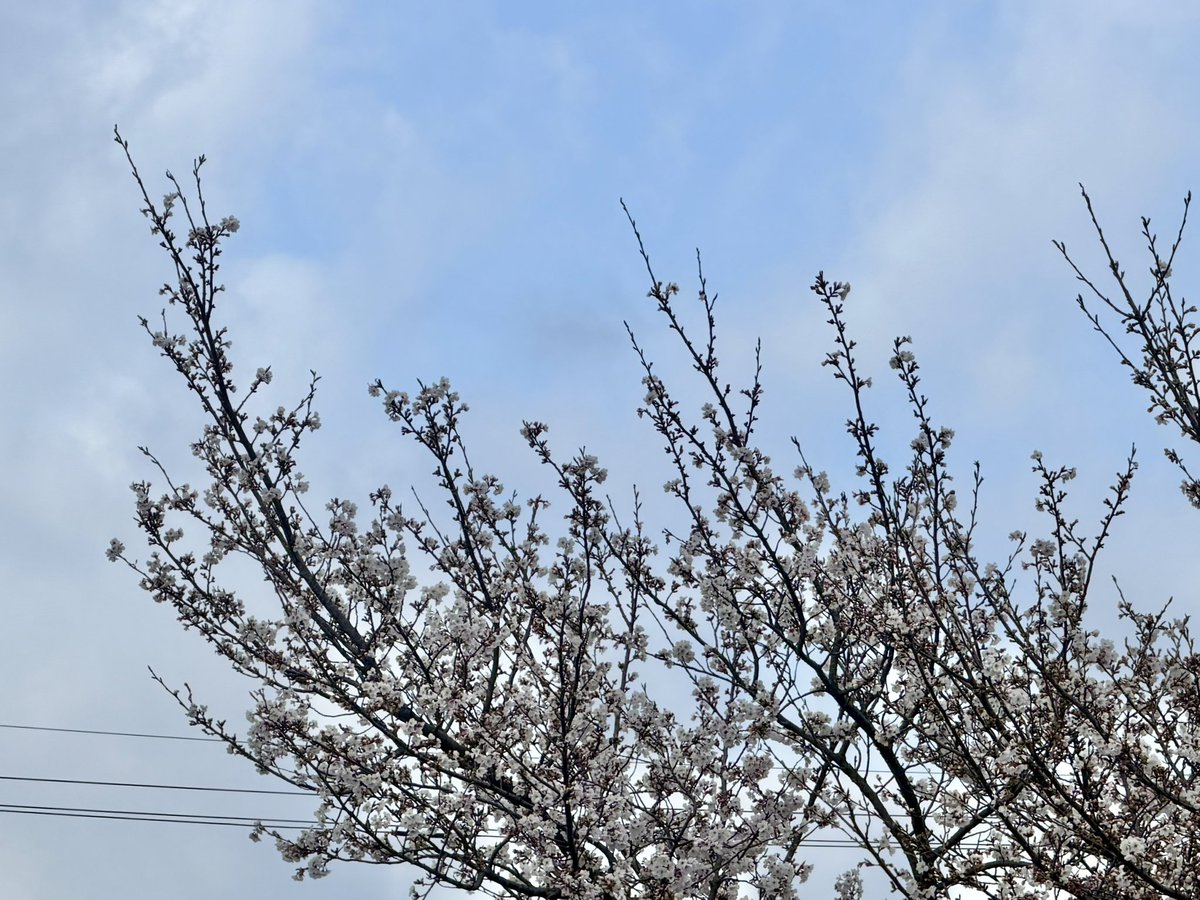 おでかけ部なかじ🚌キャンピングカーライフ tweet media