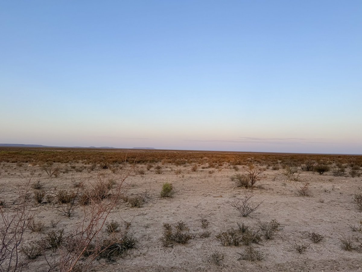 Brendan Carr tweet media