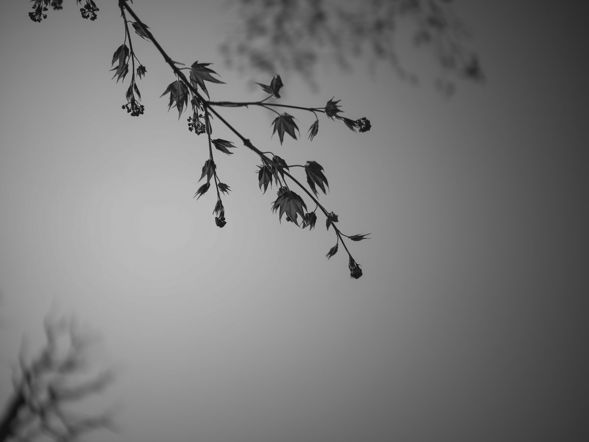 candy1962 tweet media