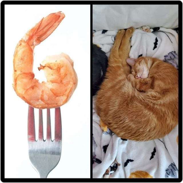 Marcus DJ tweet media