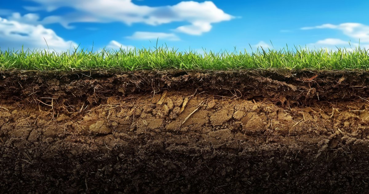 ImageGreenLC's tweet photo. Soil chemistry is complex.  Let your local turfgrass alumni backed team at Green Image Lawn Care help with your lawn care needs!

SPRING SAVINGS!

https://t.co/KL9ck72o43

or call 717.900.8144

#soil #turfgrass #lawns #lawncare #outdoors #spring #local #savings https://t.co/l1ApWSnPoh