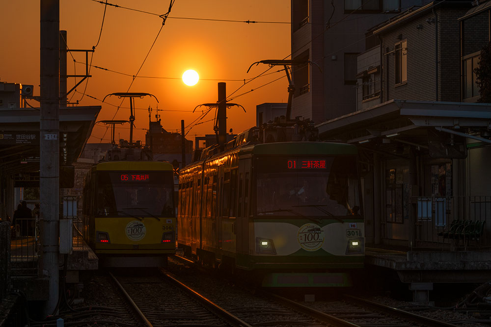がんばれぼくらの世田谷線〜東急世田谷線ファンサイト〜 tweet media