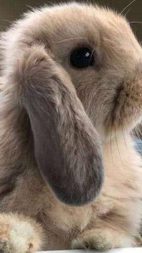 Beardo/ Secretary tweet media