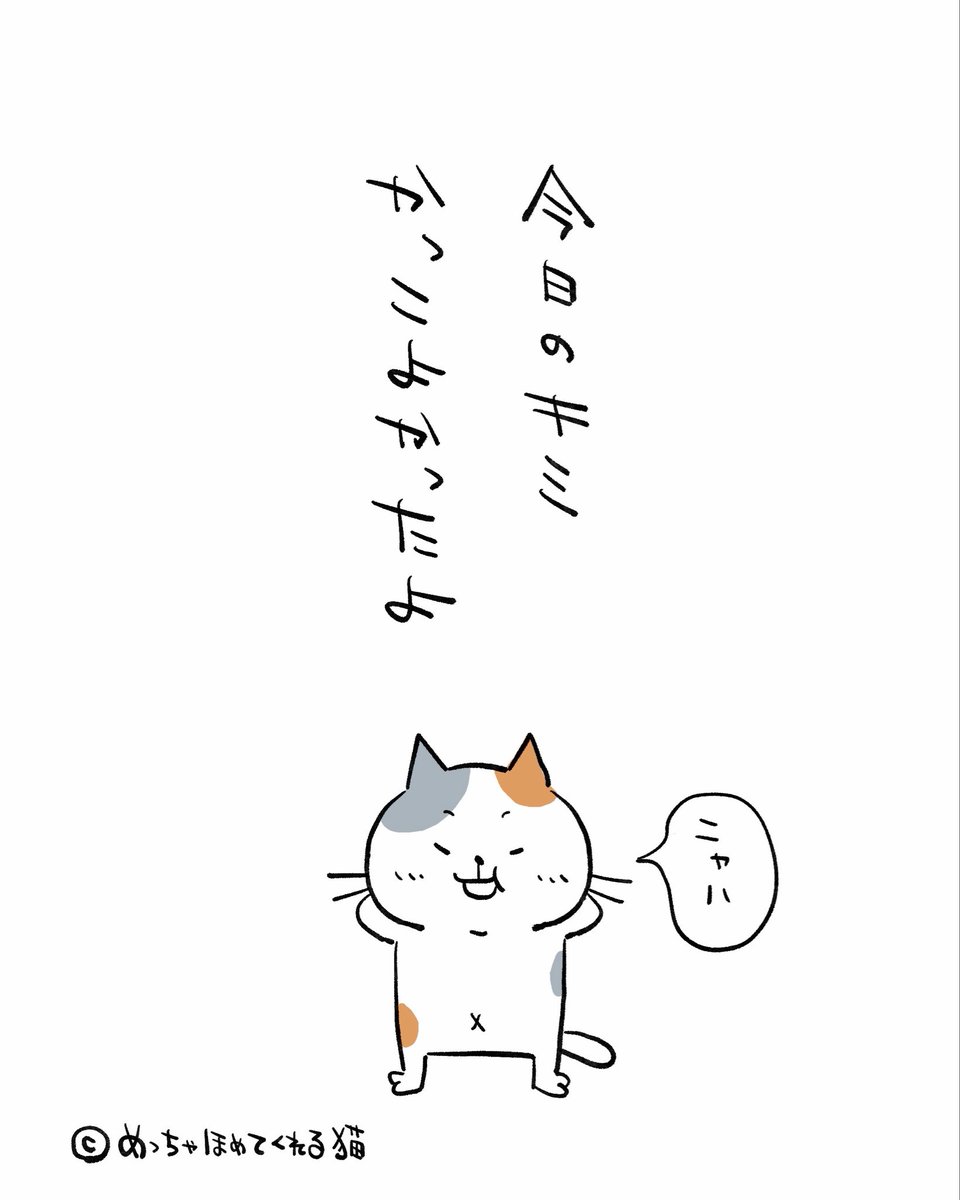 かっこよかったよ