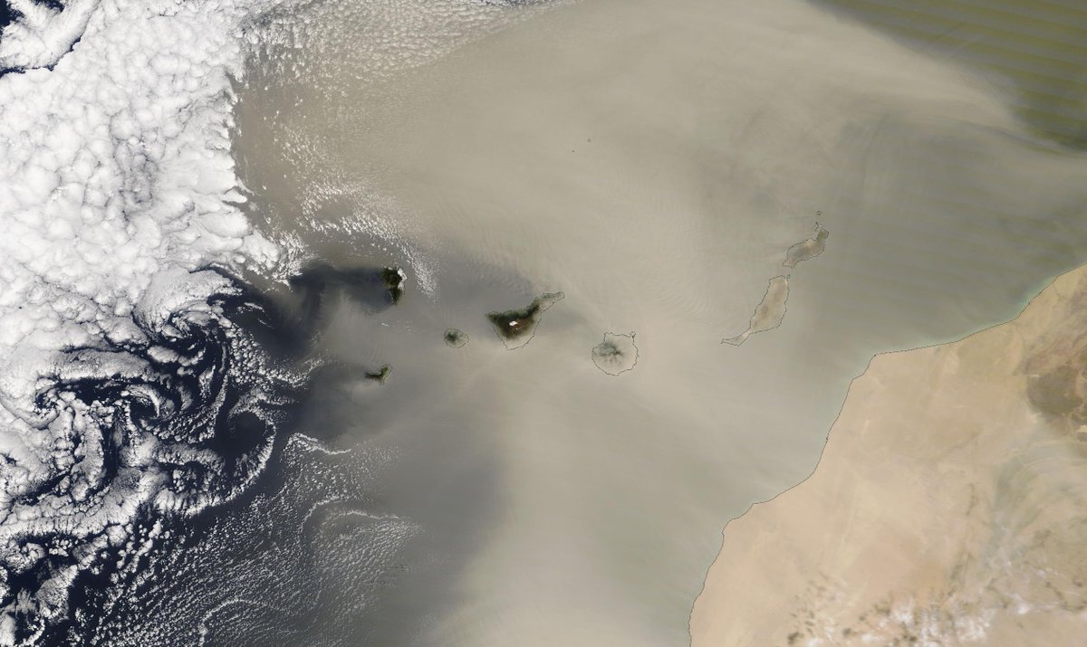 Carlos Deza tweet media