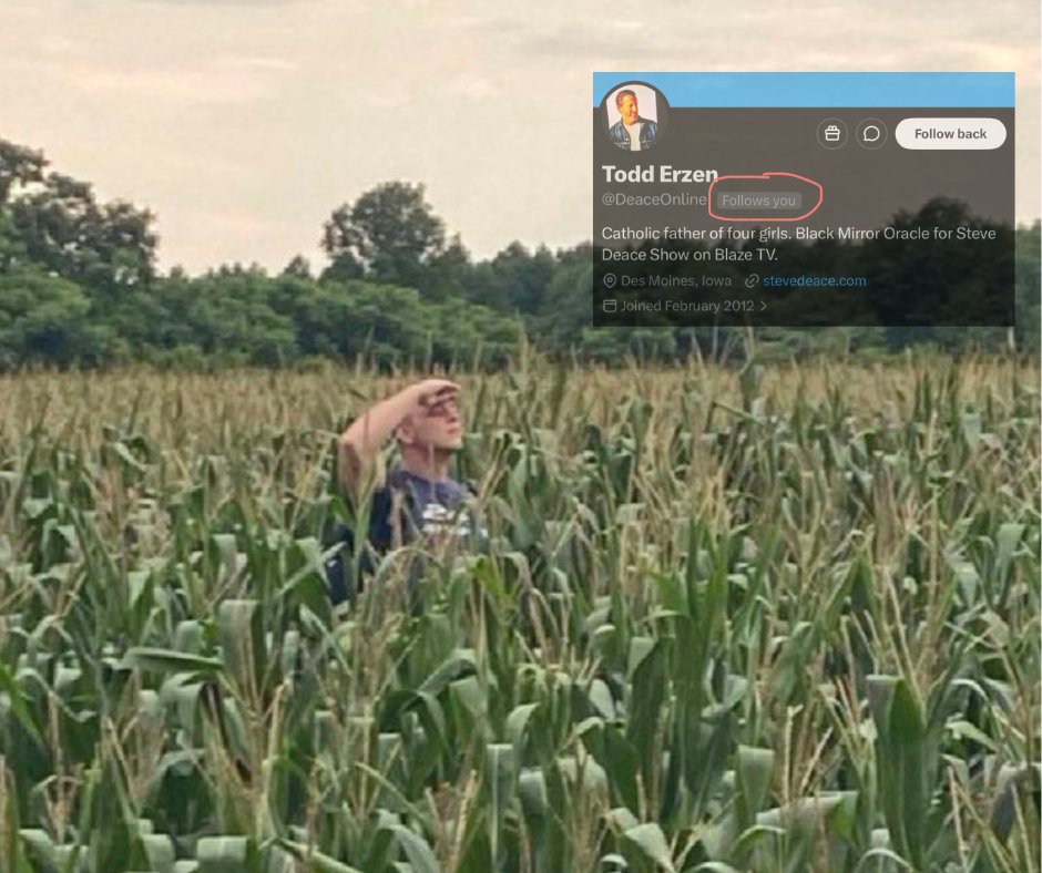 Josh Pate tweet media