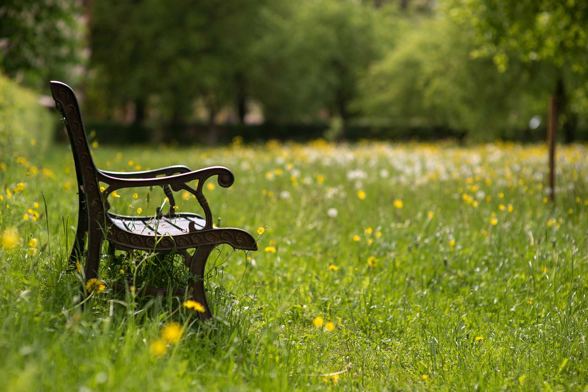 HoltensNieuws tweet media