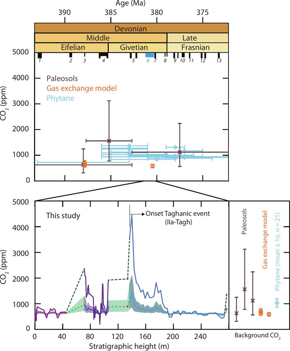 Brian Schubert tweet media