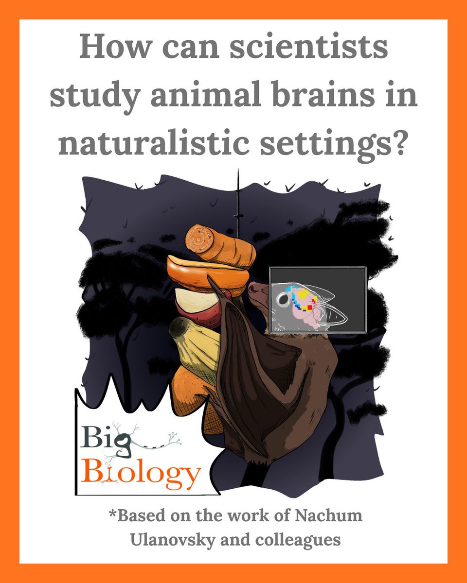 BigBiology tweet media