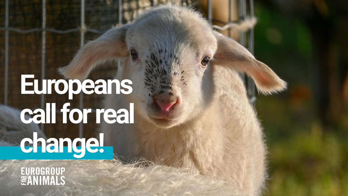 Eurogroup For Animals tweet media