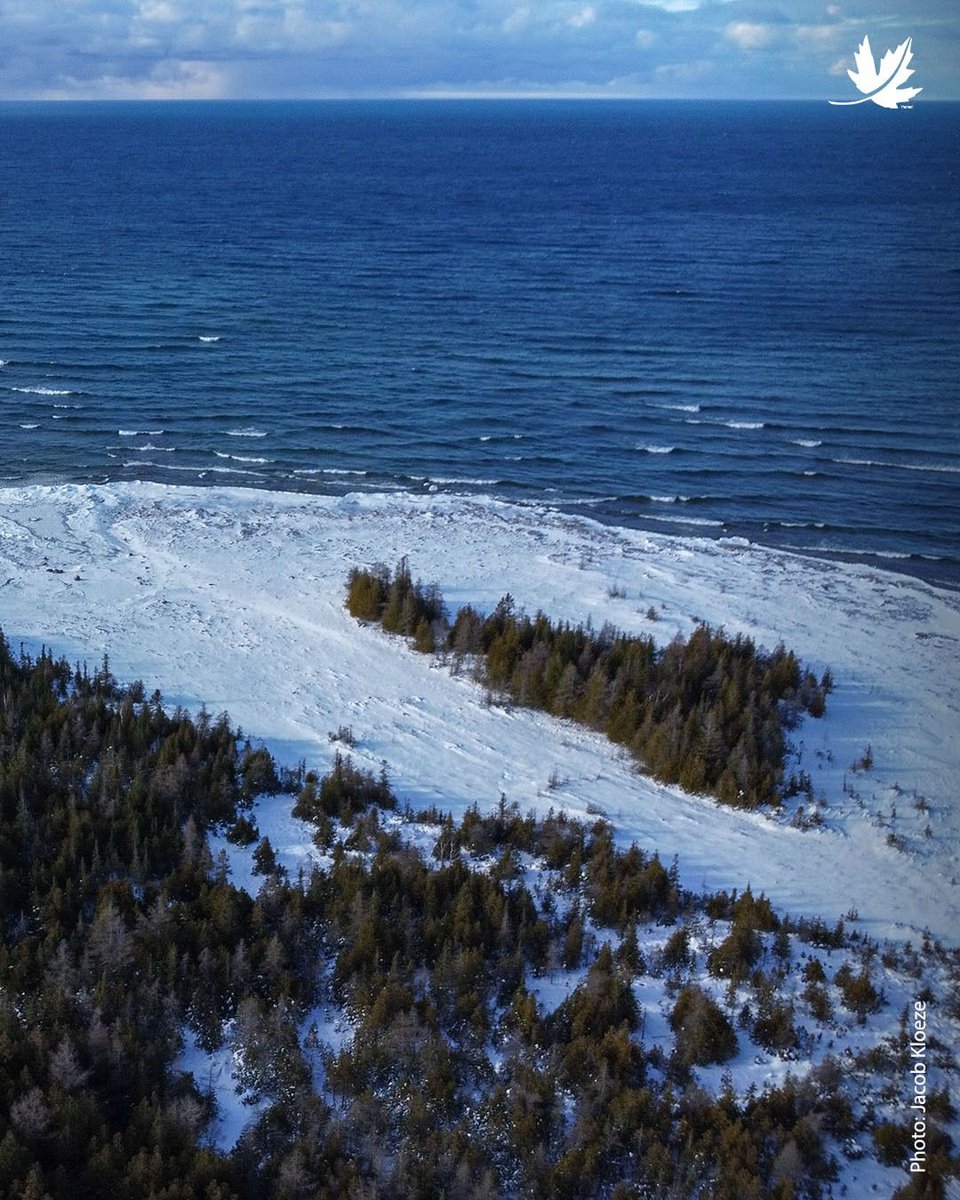 NatureConservancy.ca | Conservationdelanature.ca tweet media