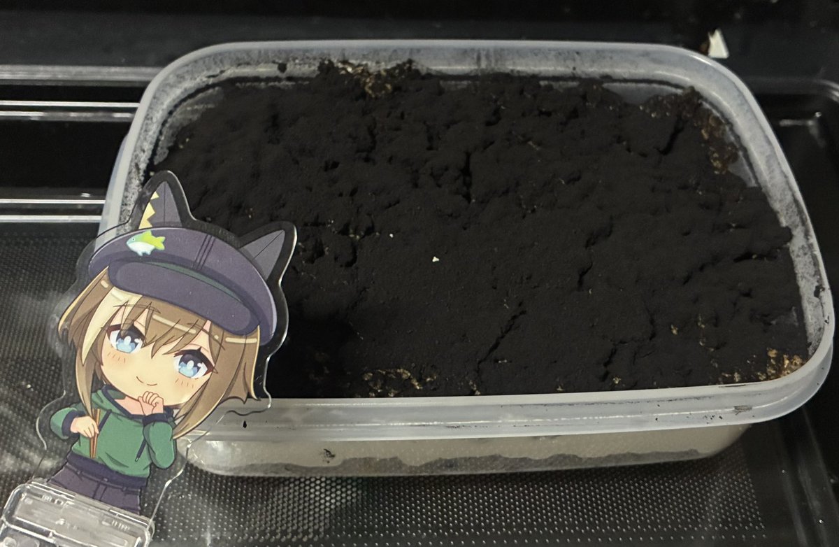 しゅおん🎣@29日笠松出現確率UP中 tweet media