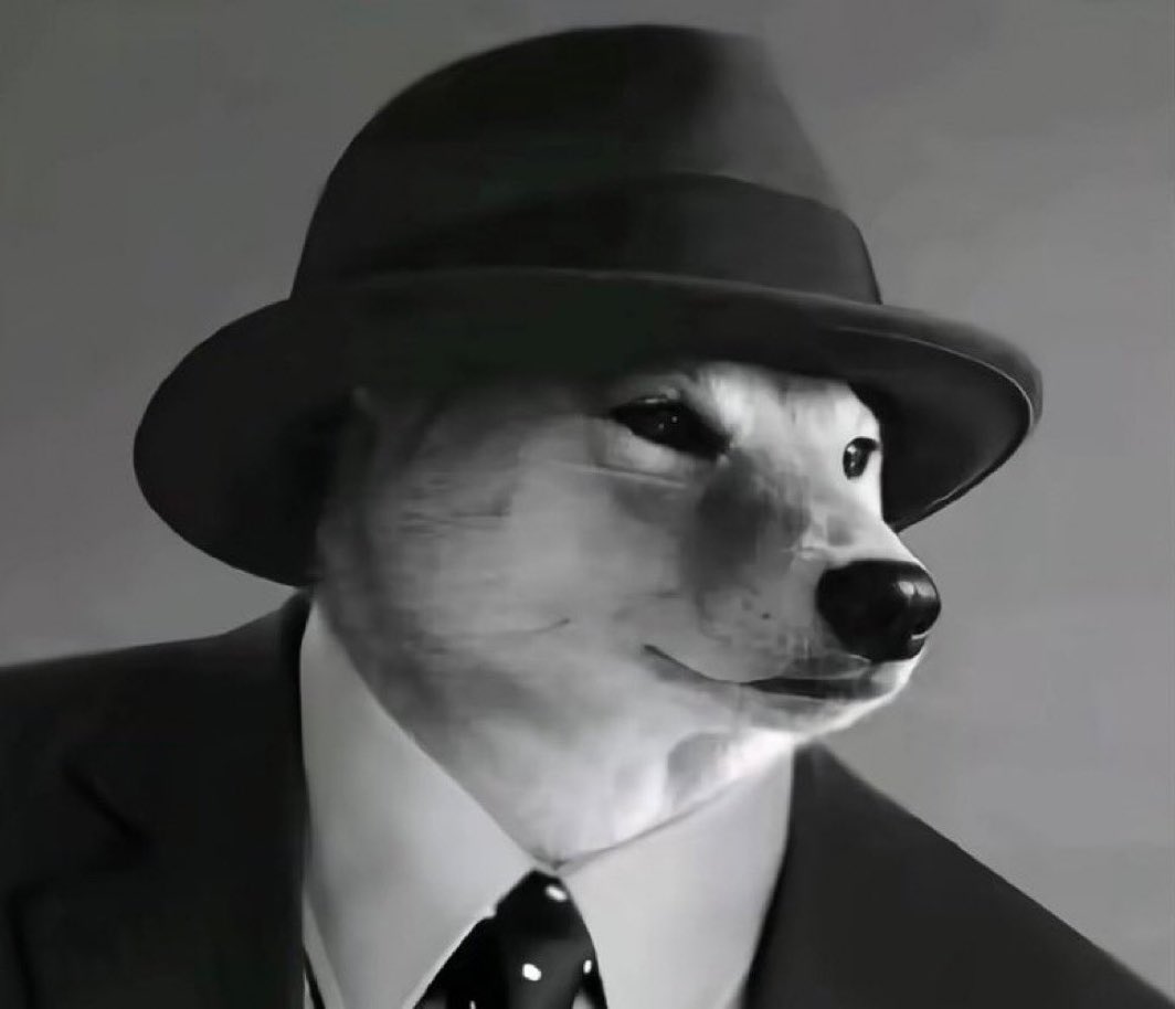 عبدالرحمن tweet media