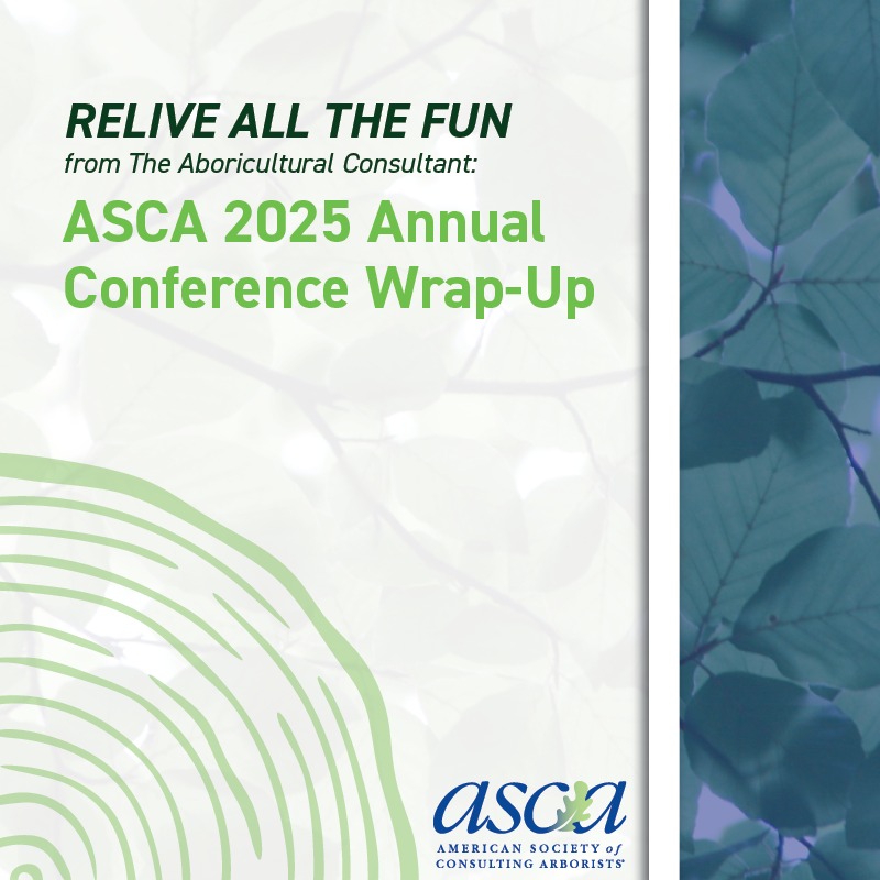 Consulting Arborists tweet media