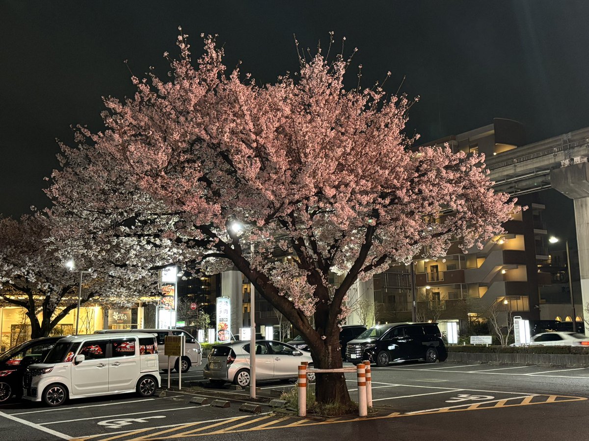 なっしー(ろくでなっしー) tweet media