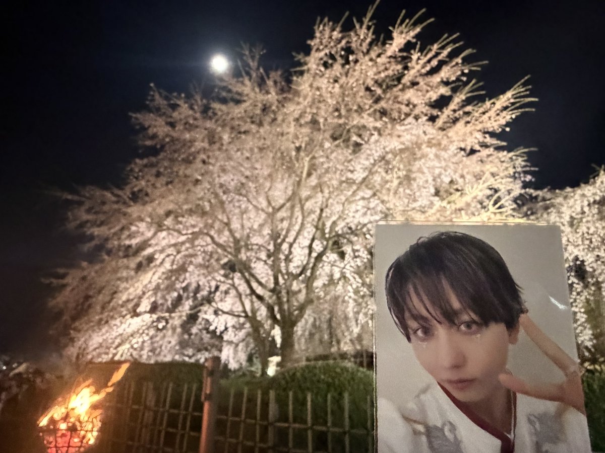 新.米.🌾 観.測.者. tweet media