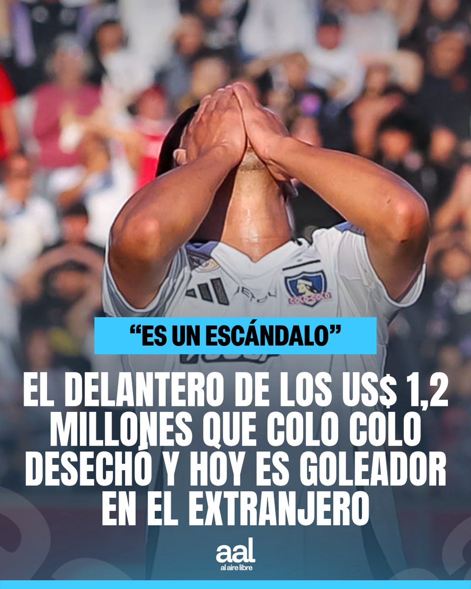 Al Aire Libre tweet media