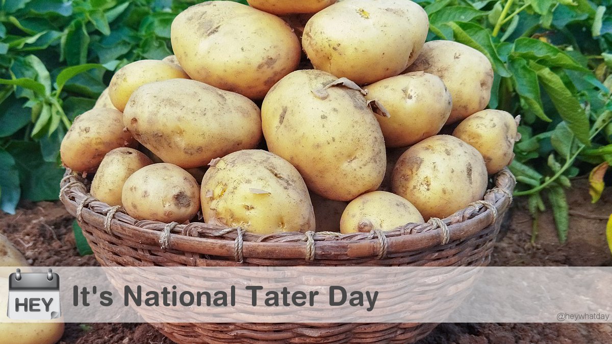 HeyWhatDay's tweet photo. It's National Tater Day!
#NationalTaterDay #TaterDay #Taters https://t.co/yZd1z9ufsK