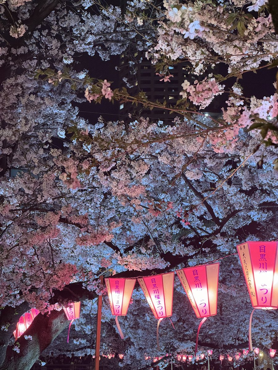 ミつゐ。 tweet media