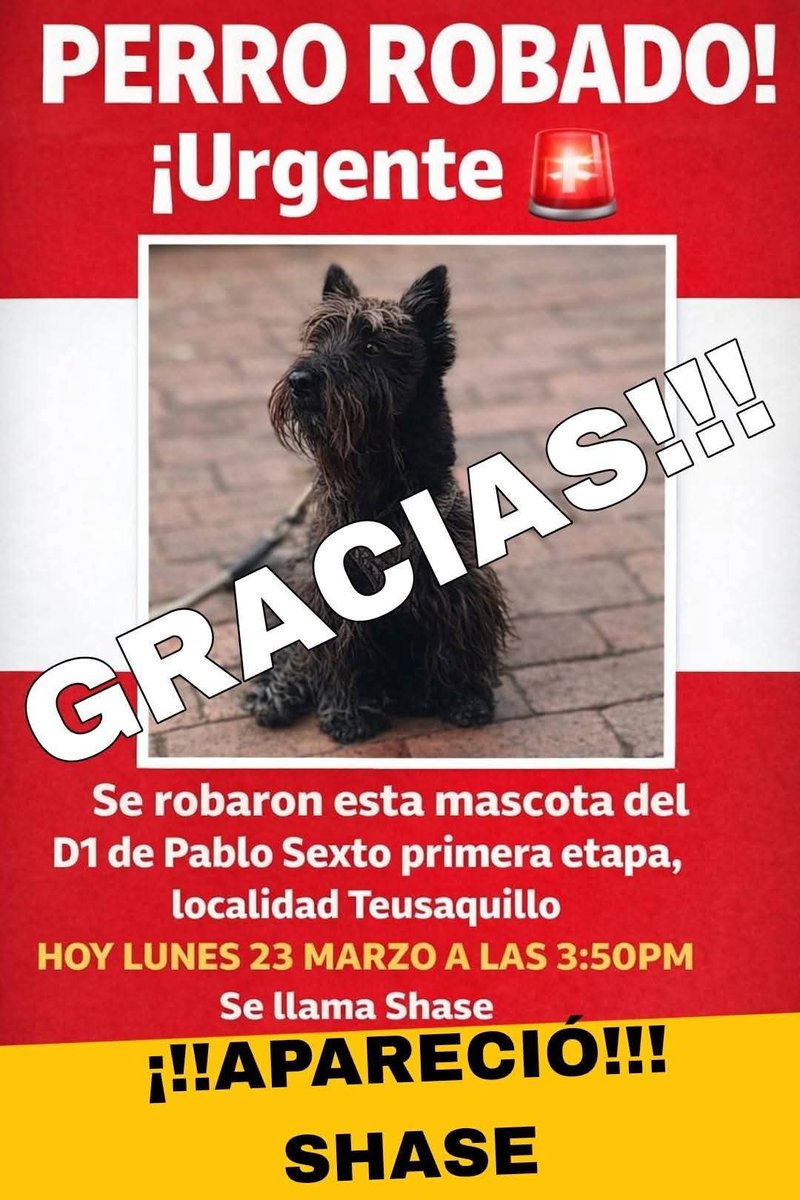 Marce Tabares 🐶 tweet media