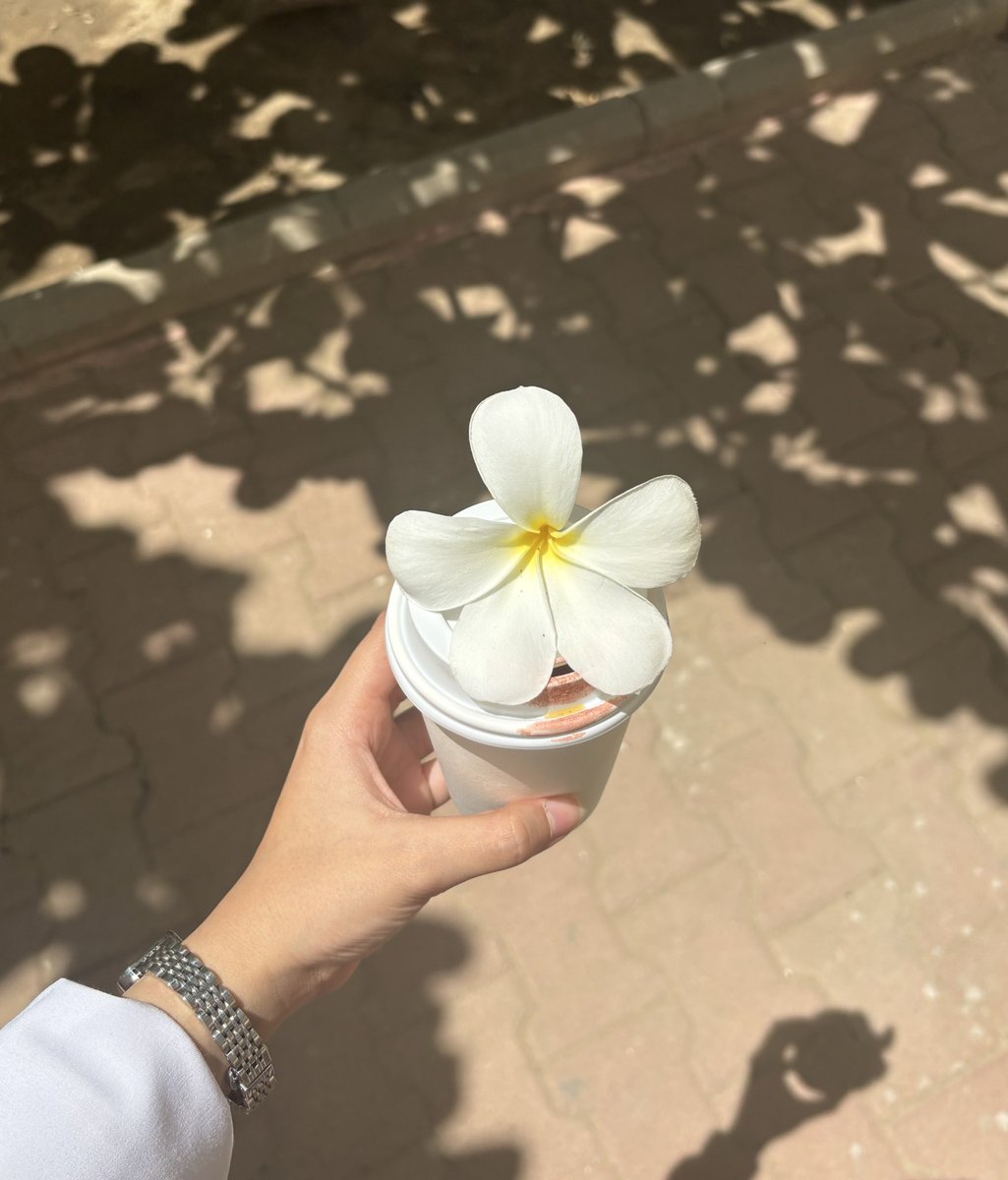 غلا 👩🏻‍⚕️ tweet media