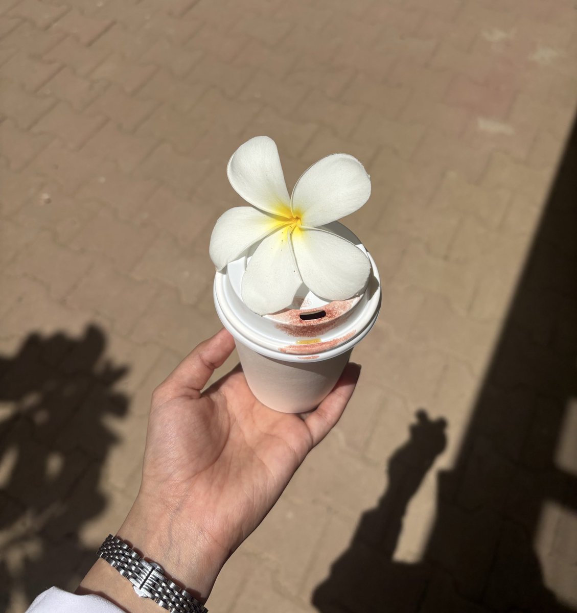 غلا 👩🏻‍⚕️ tweet media