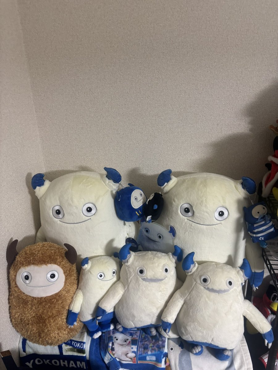 クワ🦦 tweet media