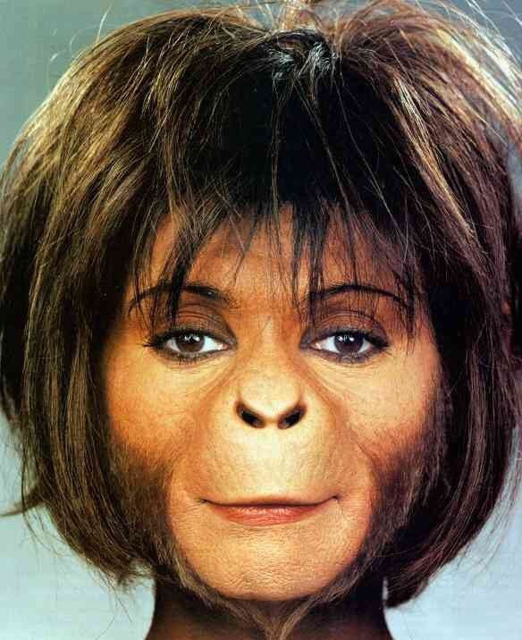 Joe opino tweet media