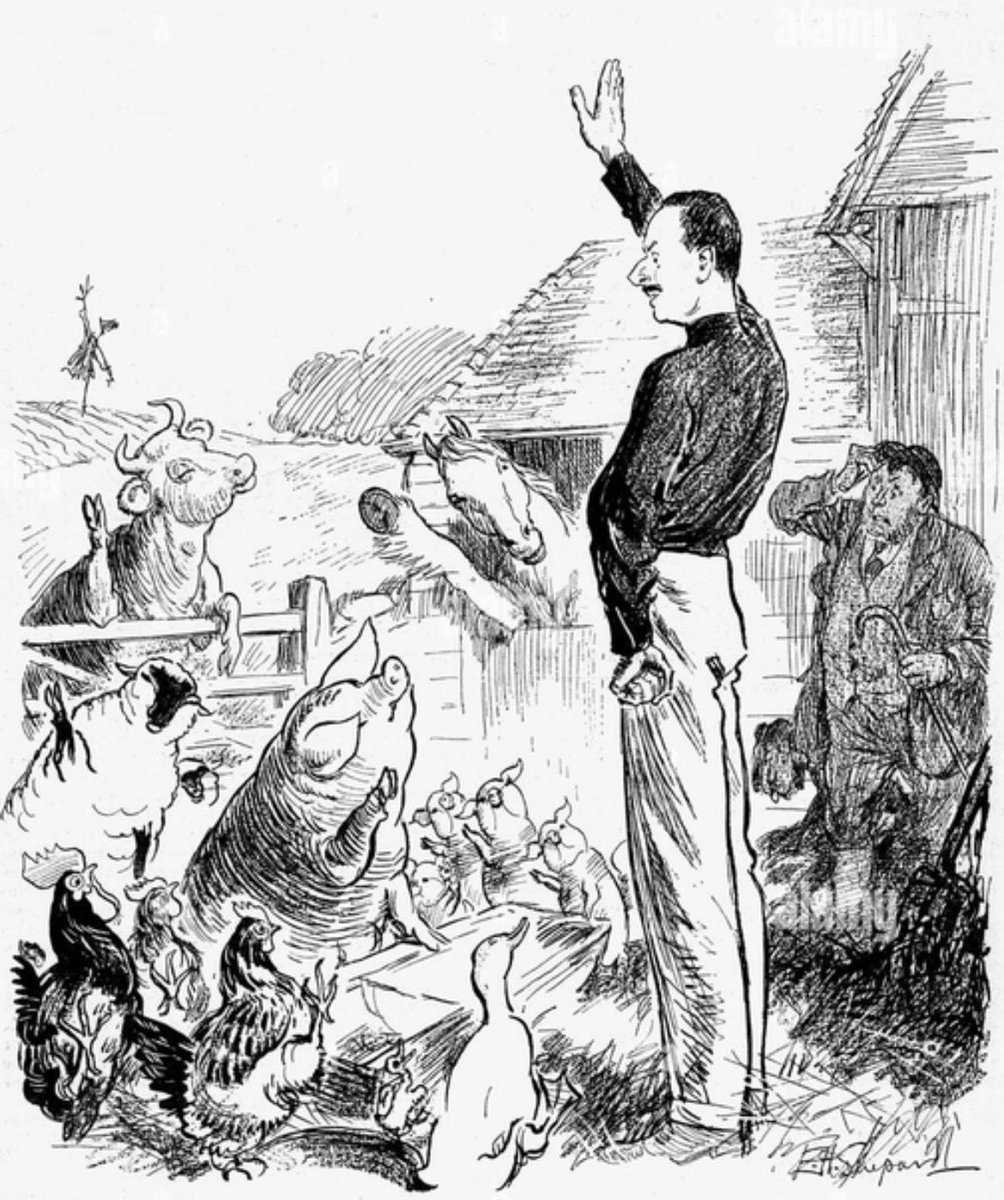 ANABASIS NORWOOD tweet media